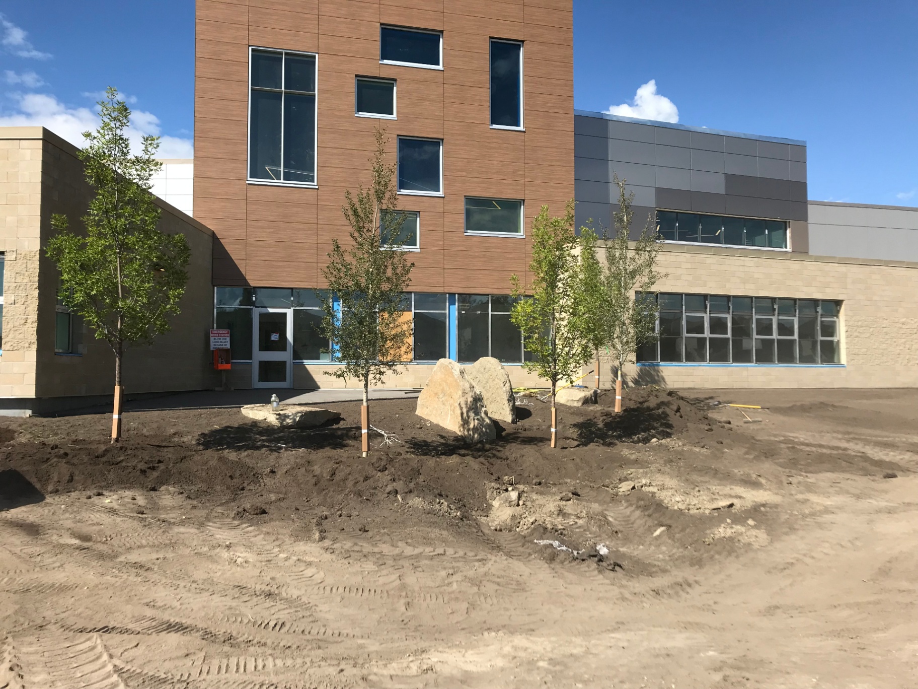 Newly planted trees and boulders at a commercial facility
