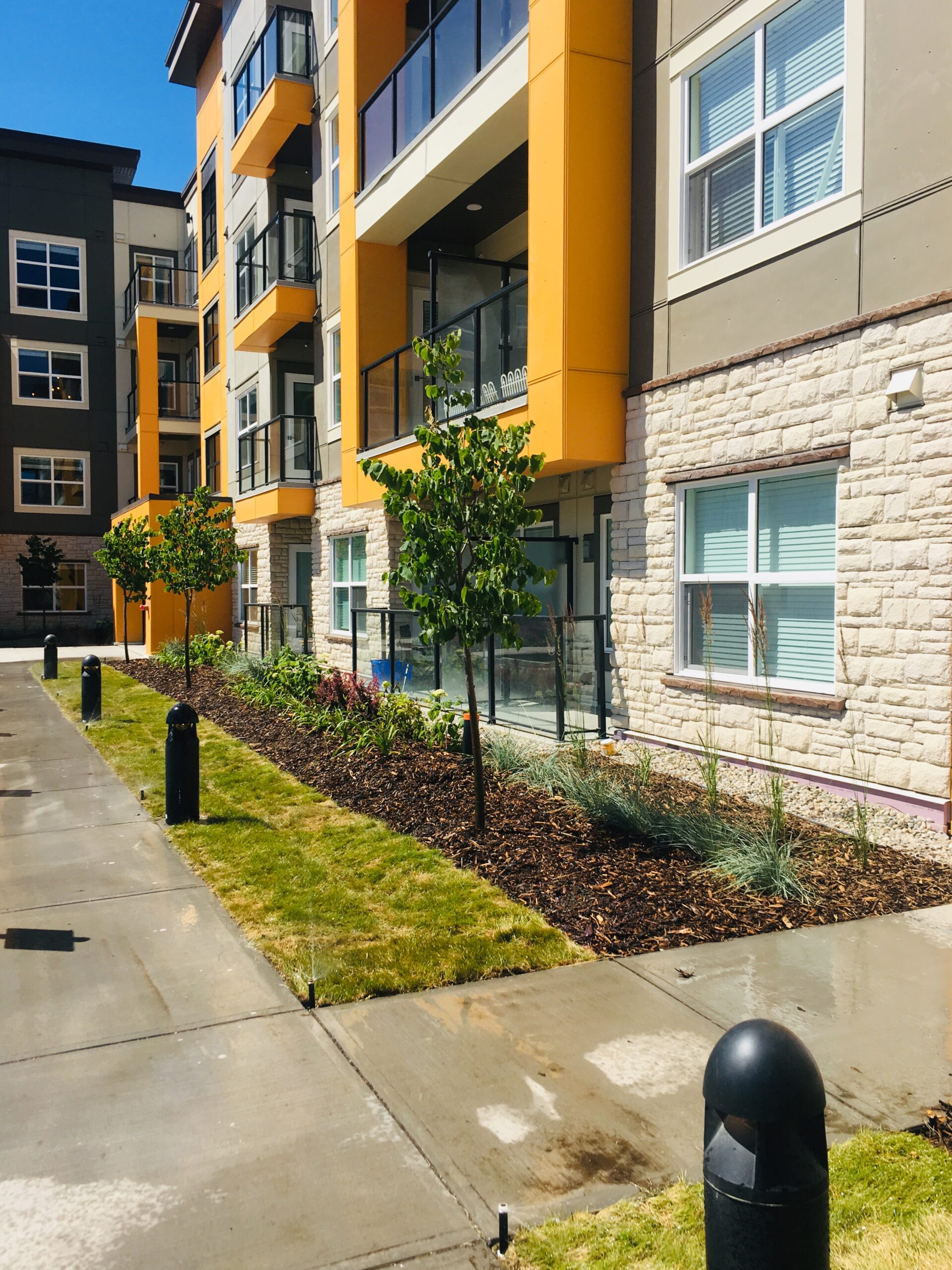 Softscape planting and mulch beds