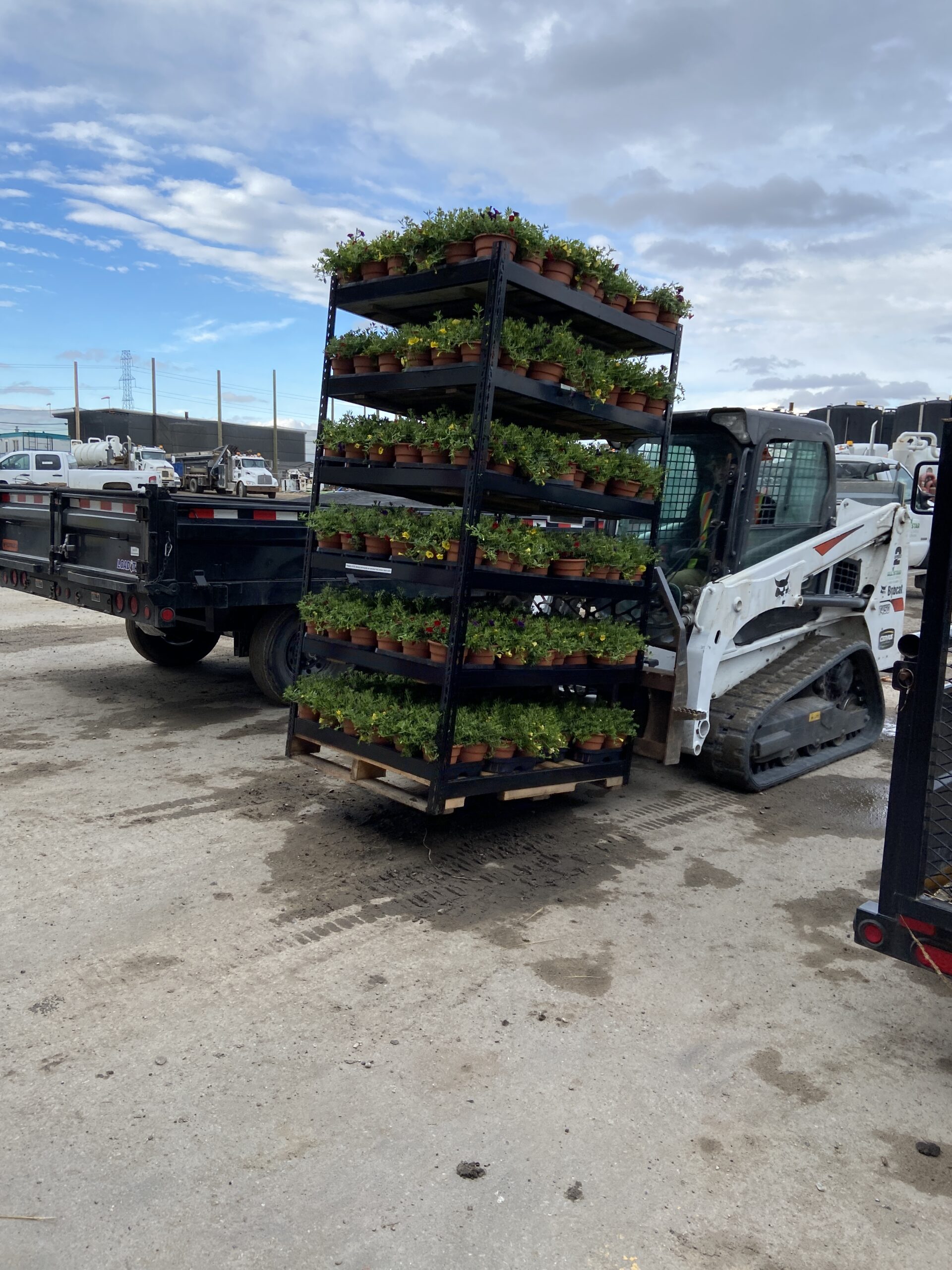 Flats of annuals and perennials loaded for delivery