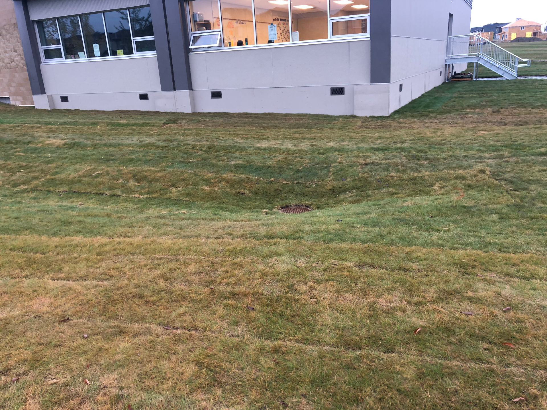 Fresh sod along a new commercial building