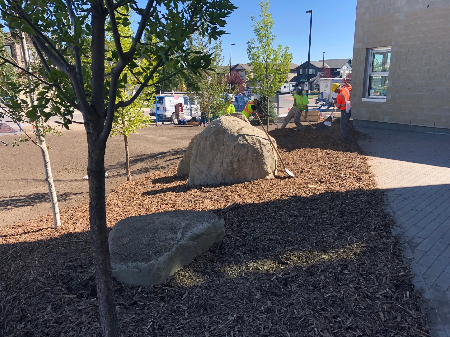 Crew placing mulch around new trees and boulders on a commercial site
