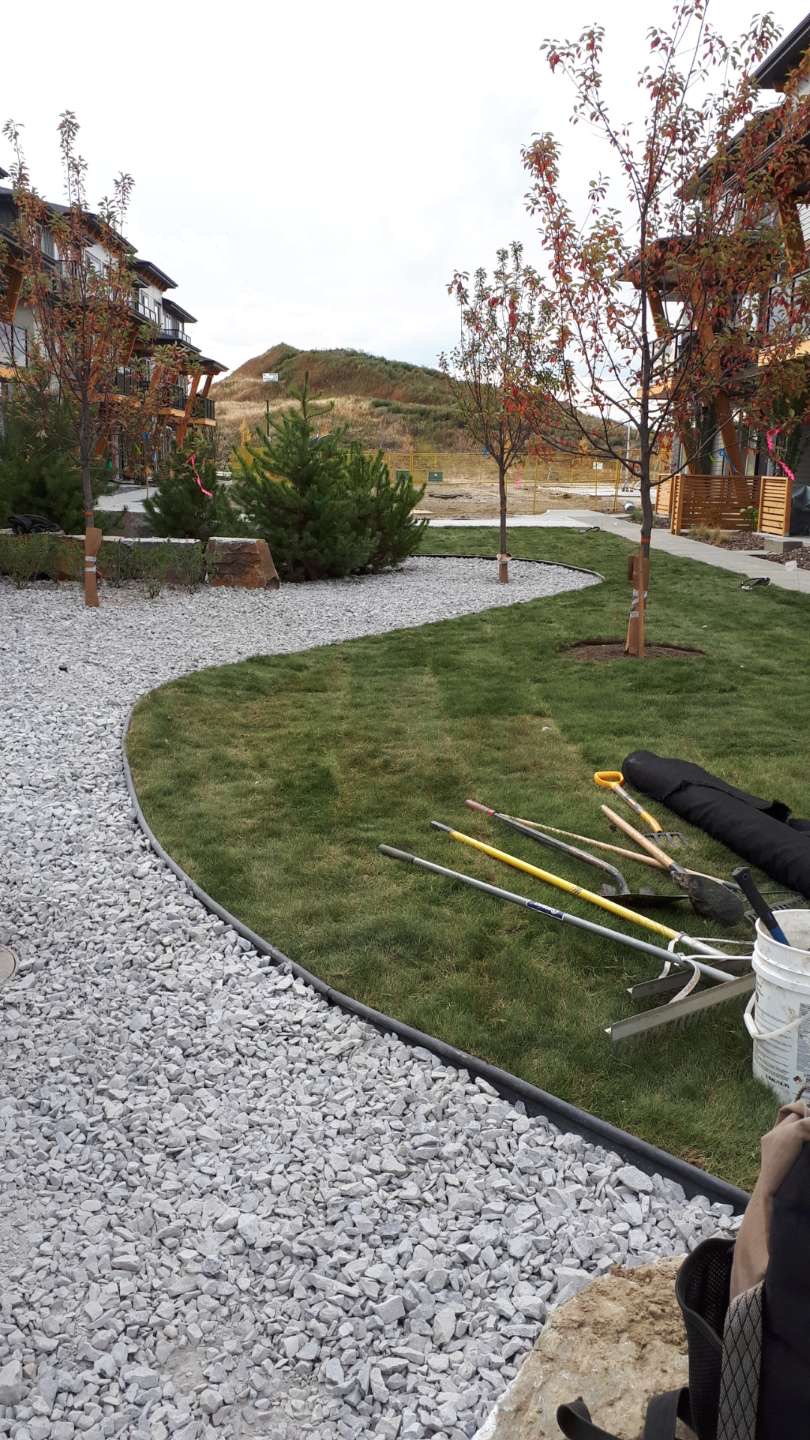 Freshly mowed emerald lawn with clean cut stripes
