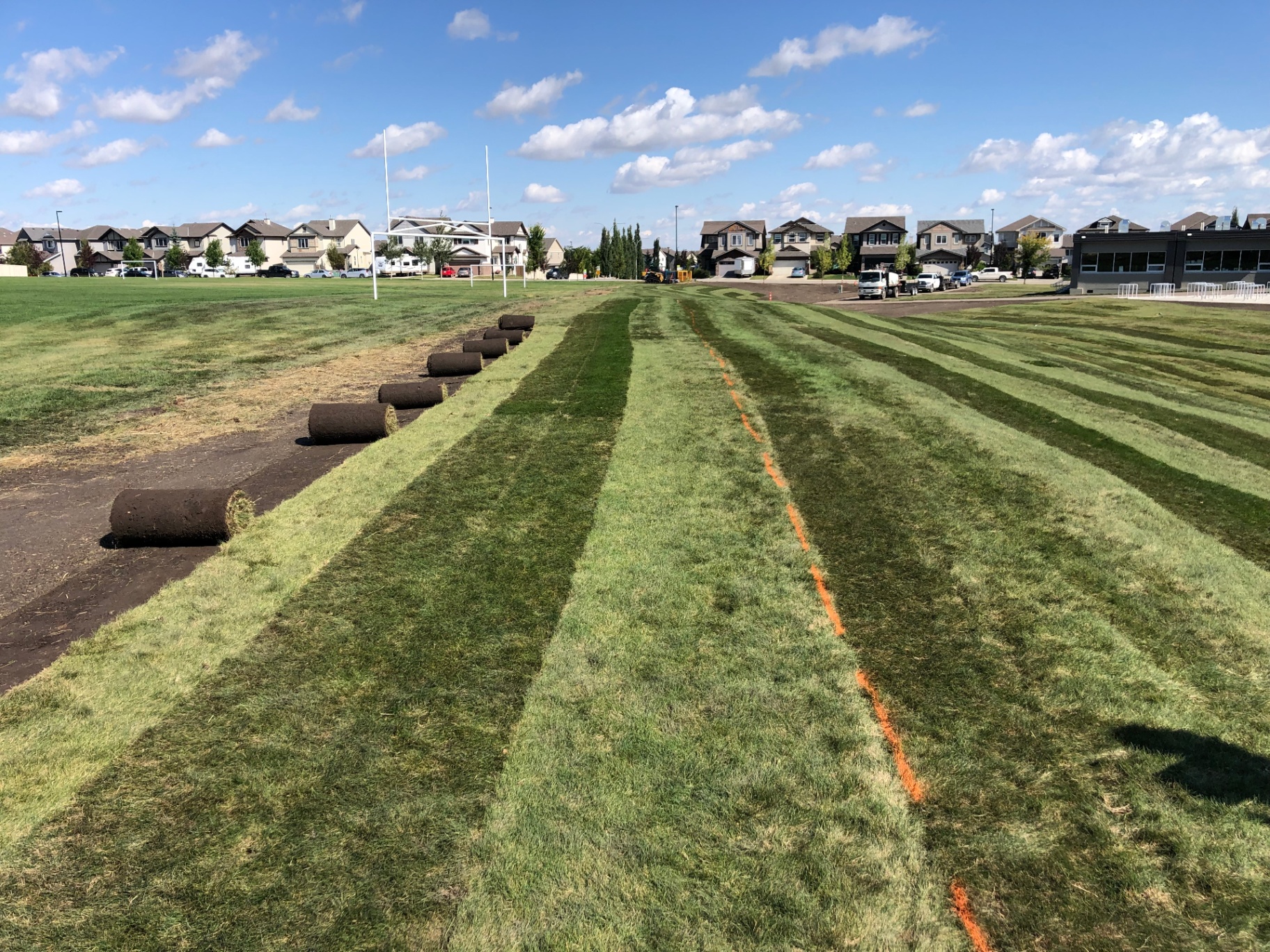 Large-scale sod installation on a sports field with rolls being laid