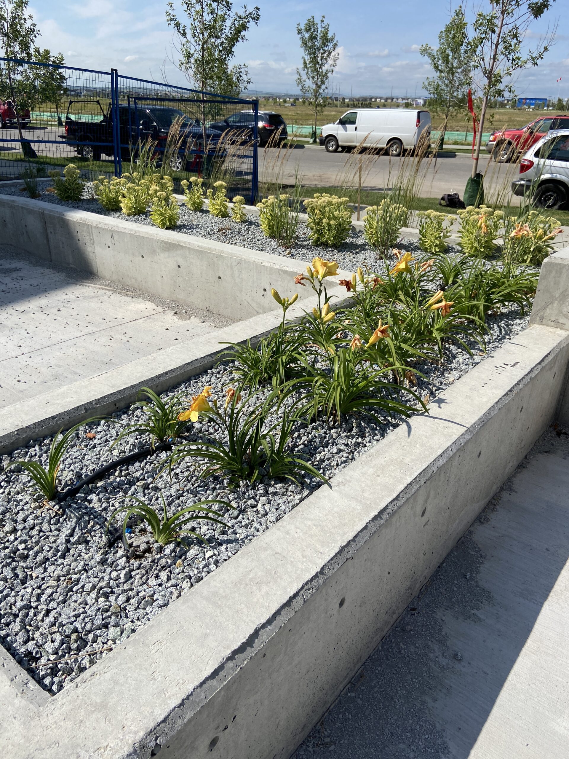 Landscape hardscape detail