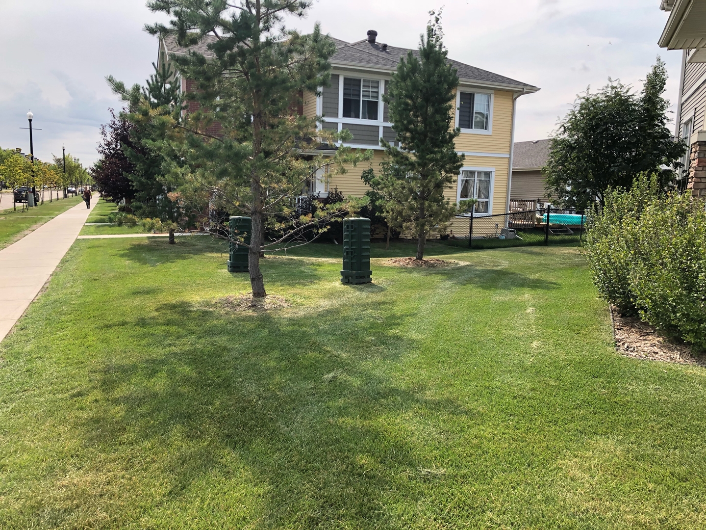 Freshly mowed lawn and trimmed trees at a multi-family property