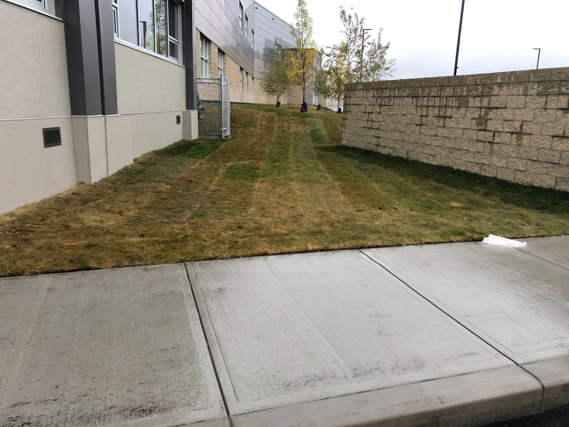 Sod between a commercial building and retaining wall