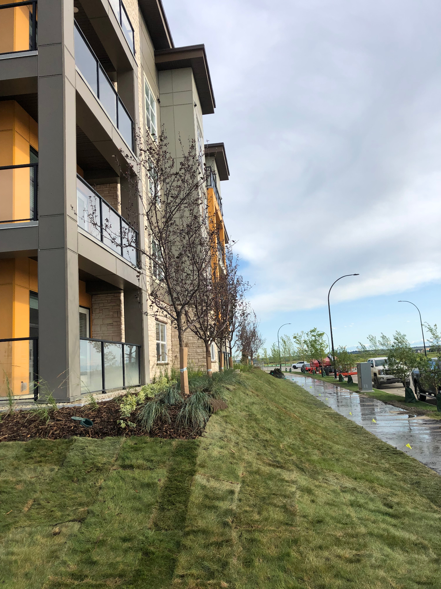 Mulched planting beds and grasses along a mid-rise building