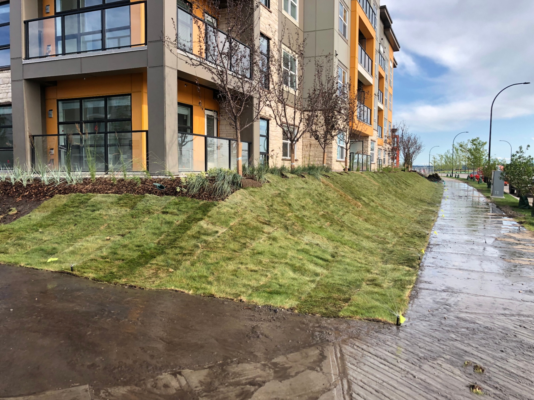 Fresh sod installed on a slope beside a new apartment building